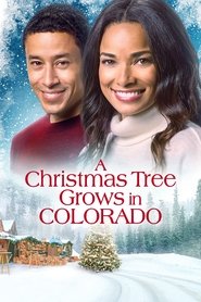 A Christmas Tree Grows in Colorado A Christmas Tree Grows in Colorado
