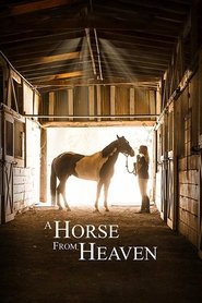A Horse from Heaven A Horse from Heaven