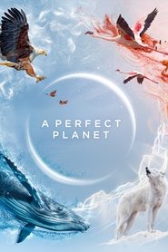 A Perfect Planet Season 1 Episode 2