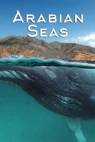 Arabian Seas Season 1 Episode 3