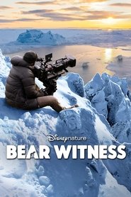 Bear Witness Bear Witness