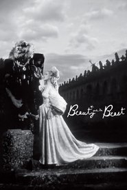 Beauty and the Beast Beauty and the Beast