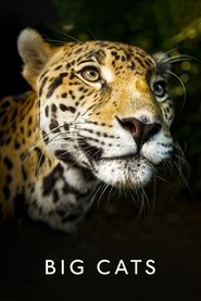 Big Cats Season 1 Episode 1