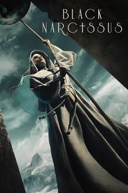 Black Narcissus Black Narcissus