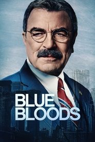 Blue Bloods Season 3 Episode 19