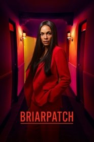 Briarpatch Season 1 Episode 8