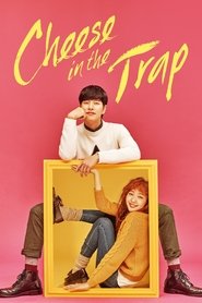 Cheese in the Trap Cheese in the Trap