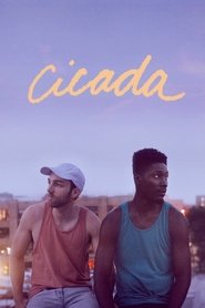 Cicada Cicada