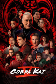 Cobra Kai Season 1 Episode 5