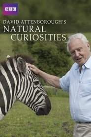 David Attenborough’s Natural Curiosities Season 2 Episode 4