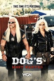 Dog’s Most Wanted Season 1 Episode 1