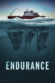 Endurance Endurance