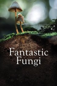 Fantastic Fungi Fantastic Fungi