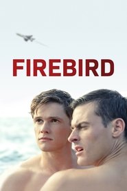 Firebird Firebird