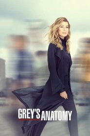 Grey’s Anatomy Season 19 Episode 12