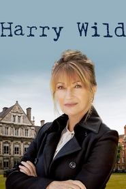 Harry Wild Season 1 Episode 1