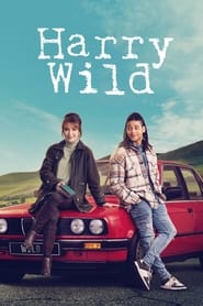 Harry Wild Season 4 Episode 1