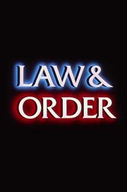 Law & Order Season 22 Episode 6