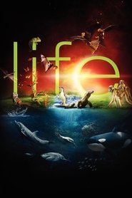 Life Season 1 Episode 10
