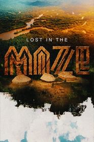 Lost in the Maze Lost in the Maze