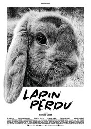 Lost Rabbit Lost Rabbit
