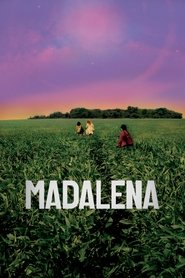 Madalena Madalena