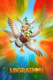 Migration Migration