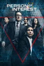Person of Interest Season 1 Episode 13