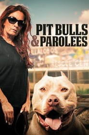 Pit Bulls and Parolees Season 6 Episode 13