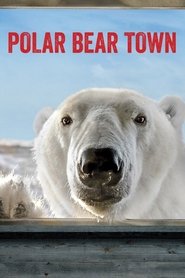 Polar Bear Town Season 1 Episode 11