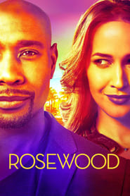Rosewood Season 2 Episode 19