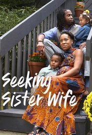 Seeking Sister Wife Season 2 Episode 9