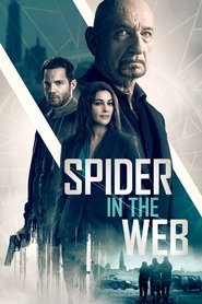 Spider in the Web Spider in the Web
