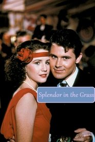 Splendor in the Grass Splendor in the Grass