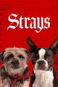 Strays Strays