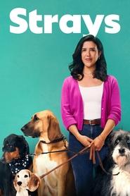 Strays Season 1 Episode 6