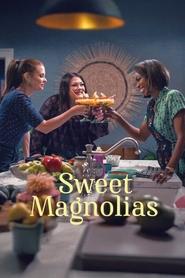 Sweet Magnolias Season 4 Episode 10