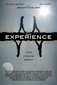 The Experience The Experience