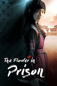 The Flower in Prison Season 1 Episode 13