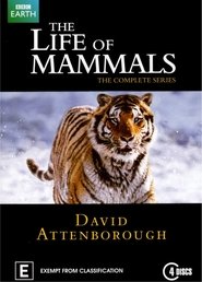 The Life of Mammals The Life of Mammals