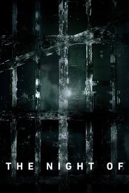 The Night Of Season 1 Episode 6