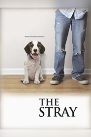 The Stray The Stray