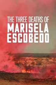 The Three Deaths of Marisela Escobedo The Three Deaths of Marisela Escobedo