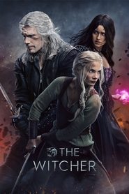 The Witcher The Witcher