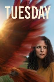 Tuesday Tuesday