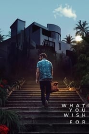 What You Wish For What You Wish For